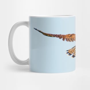 Rear view of a hovering Kestrel Mug